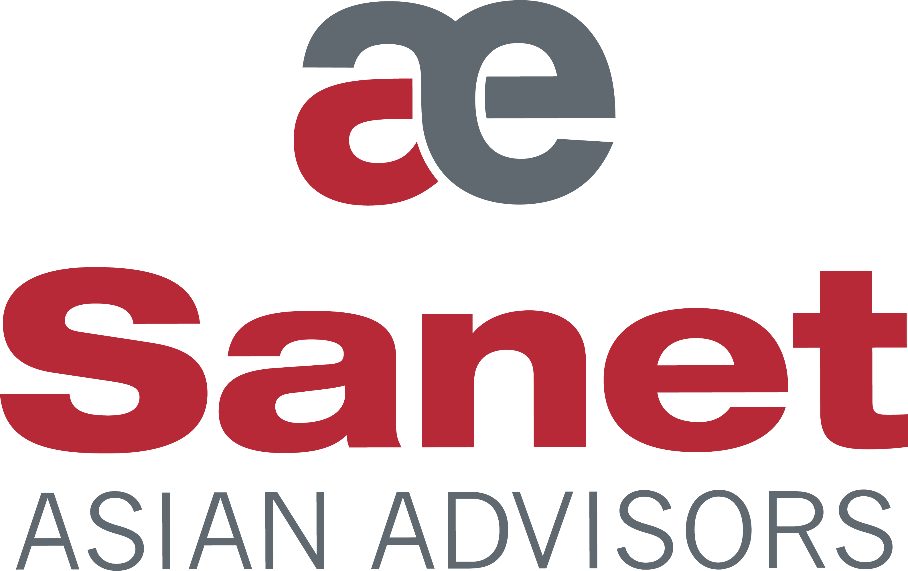 Sanet Logo